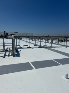 Expansive white IB PVC membrane with extensive rooftop equipment and piping runs