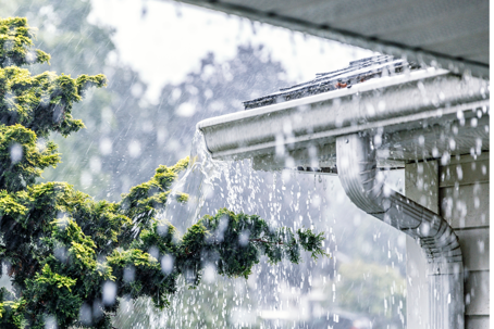 El Nino Rain